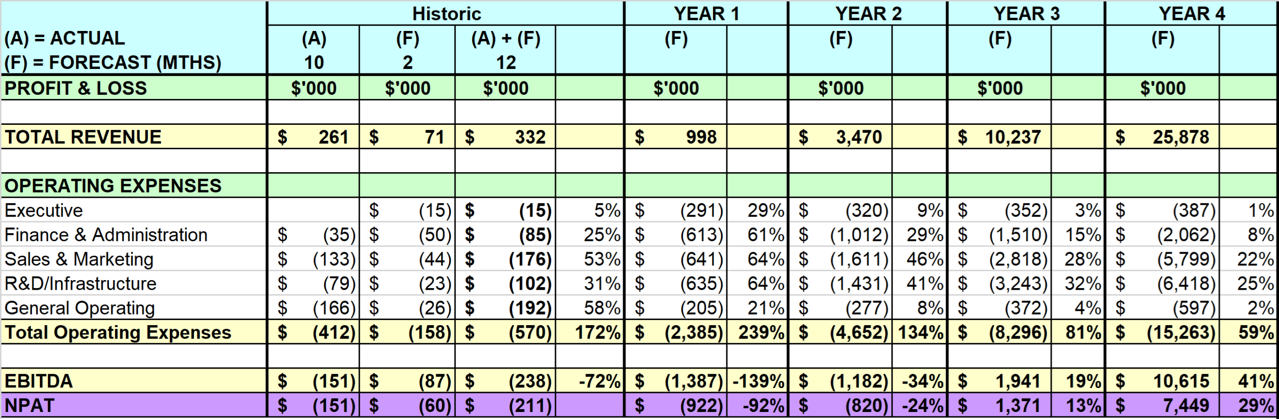 Annual financial summary table with profits and expenses.